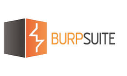 Featured image of post Burp Suite 浏览器显示连接不是私密连接(Private)