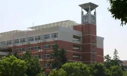 Featured image of post 随想250424