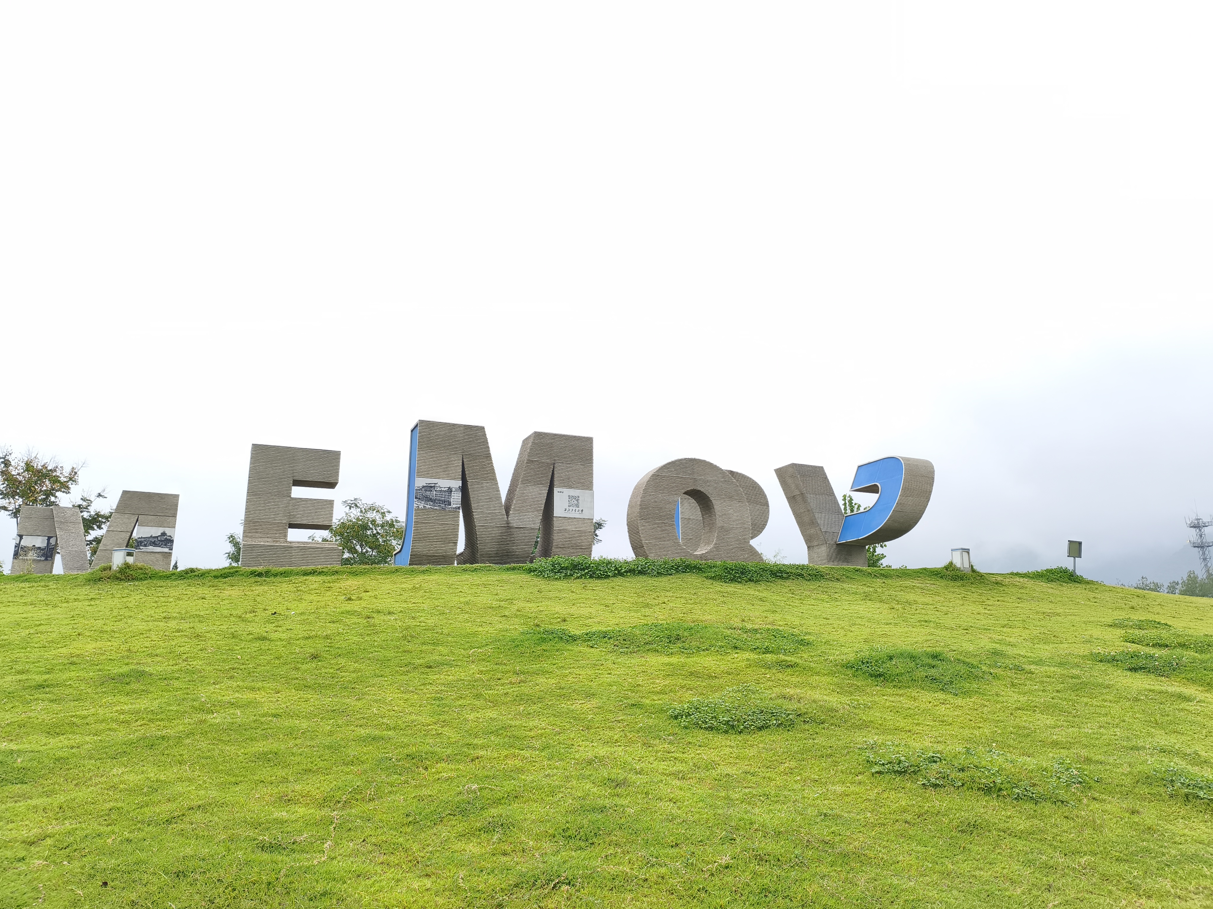 emo_MEMORY
