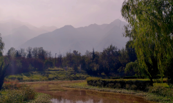 Featured image of post 新晴