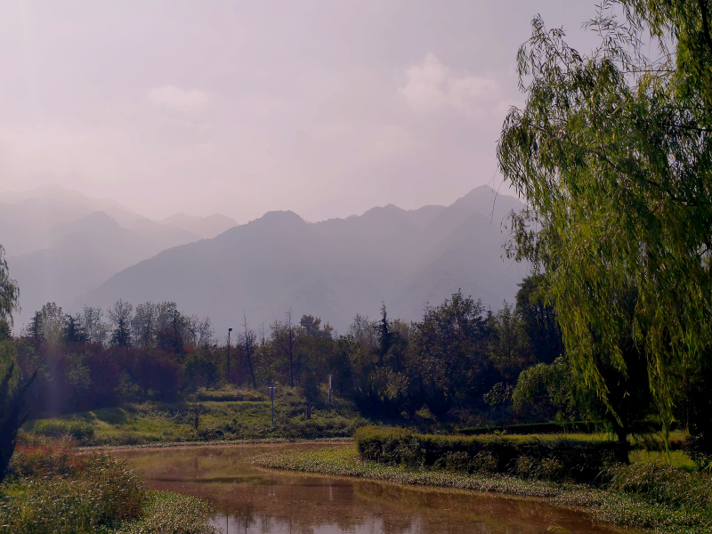 Featured image of post 新晴