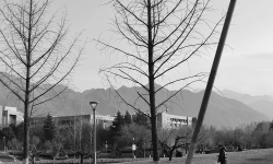 Featured image of post 南山困