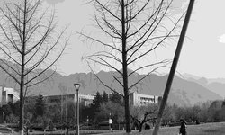 Featured image of post 南山困