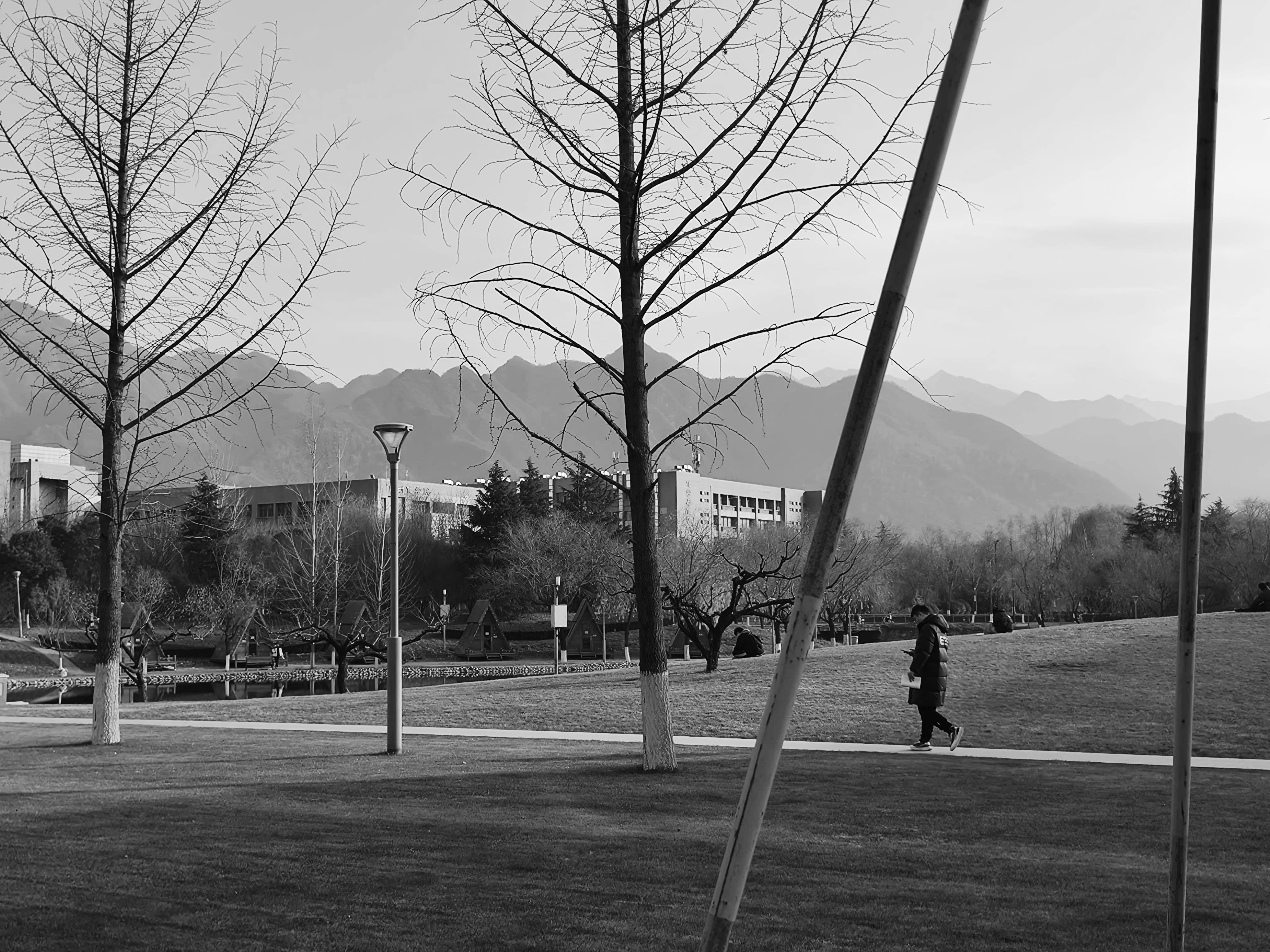 Featured image of post 南山困