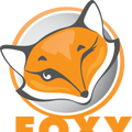 使用 Foxy Proxy 插件实现优雅的浏览器网页流量代理