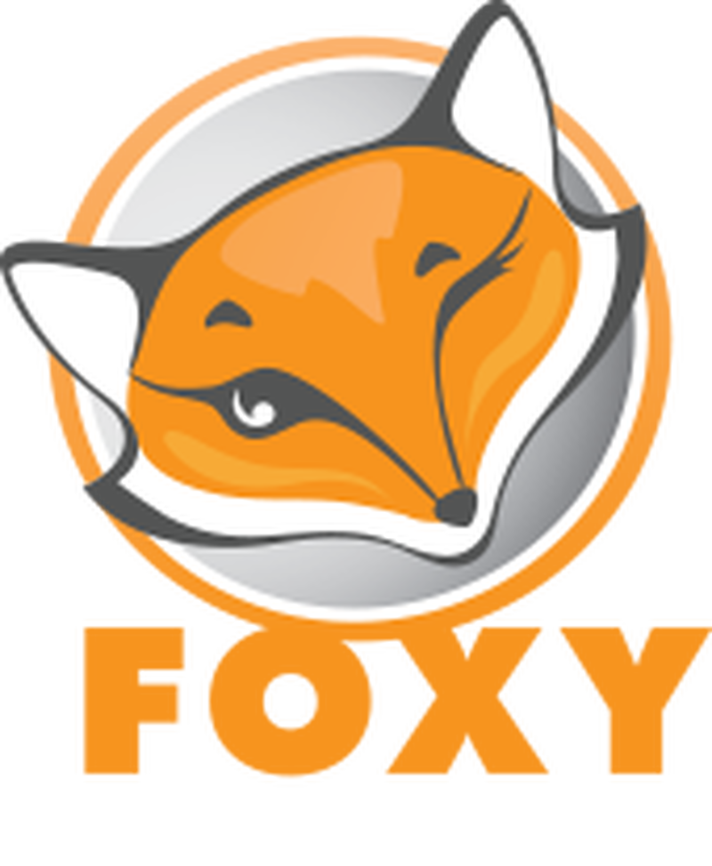 Featured image of post 使用 Foxy Proxy 插件实现优雅的浏览器网页流量代理