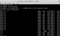 Featured image of post scp等传输文件后权限问题